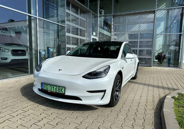 Tesla Model 3 cena 172200 przebieg: 119406, rok produkcji 2019 z Tarnów małe 29